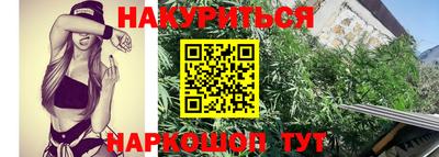 тгк Краснодар