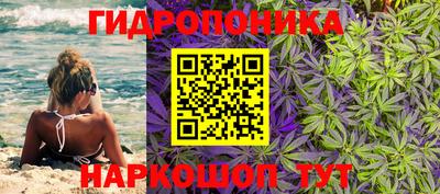 тгк Краснодар