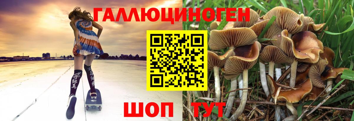 Галлюциногенные грибы MAGIC MUSHROOMS Кубинка