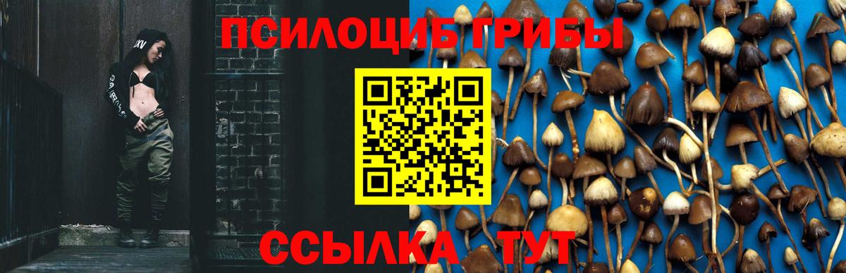Галлюциногенные грибы Psilocybine cubensis  Вход с VPN  Кубинка 